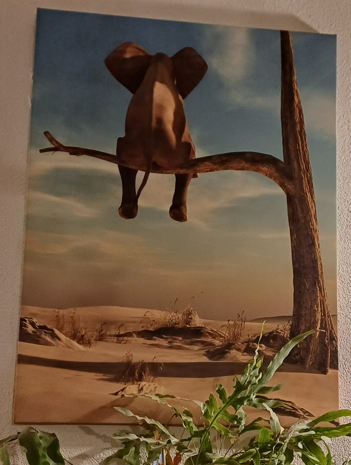 Ladengeschäft